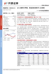 公司信息更新报告：Q1业绩符合预期，渠道战略逐渐步入收获期