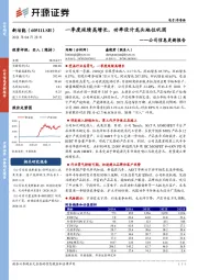 公司信息更新报告：一季度延续高增长，功率设计龙头地位巩固