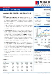 2021Q1业绩创历史新高，持续受益车灯升级