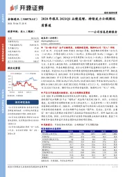 公司信息更新报告：2020年报及2021Q1业绩高增，持续发力云视频优质赛道