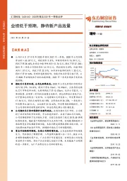 2020年报及2021年一季报点评：业绩低于预期，静待新产品放量