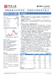 磷酸铁锂毛利率修复，规模效应增强盈利能力