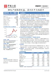 锂电产销维持旺盛，盈利水平大幅提升