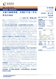 2021年一季报点评：业绩大幅超预期，定增扩产进一步巩固龙头地位
