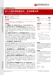 日辰股份2020年年报及一季报点评：收入大涨利润短期承压，未来前景光明