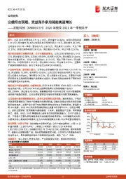 2020年报及2021年一季报点评:业绩符合预期,受益海外家用储能高速增长