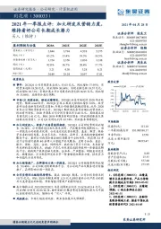 2021年一季报点评：加大研发及营销力度，维持看好公司长期成长潜力