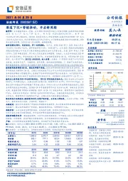 渠道下沉+营销推动,开启新周期