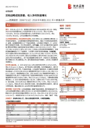 2020年年报及2021年一季报点评:双轮战略成效显著,收入净利快速增长