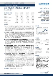 2020年报点评：弹药充足，腾飞在即