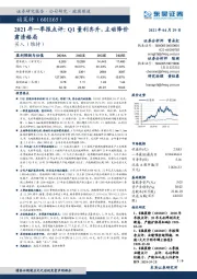 2021年一季报点评：Q1量利齐升，主动降价肃清格局