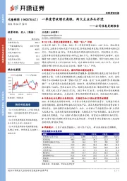 公司信息更新报告：一季度营收增长亮眼，两大主业齐头并进