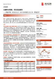 2020年年报及2021年一季报点评:业绩符合预期,项目投运顺利