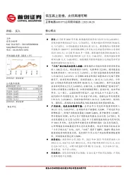 公司简评报告：低压再上层楼，光伏高增可期