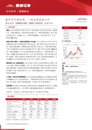 2020年&21Q1业绩点评:量价齐升增业绩,一体化建设进行中