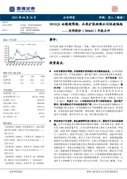 年报点评：2021Q1业绩超预期，品类扩张助推公司快速崛起