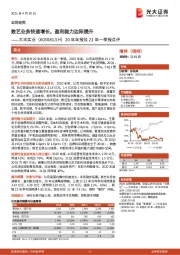 20年年报及21年一季报点评:数艺业务快速增长,盈利能力边际提升