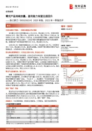 2020年报、2021年一季报点评：臂式产品持续放量，盈利能力有望见底回升