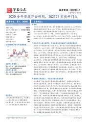 2020全年营收符合预期，2021Q1实现开门红