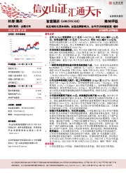 拟定增优化资本结构、加强品牌影响力,全年开店持续提速
