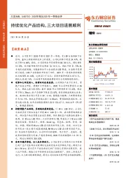 2020年报及2021年一季报点评：持续优化产品结构，三大项目进展顺利