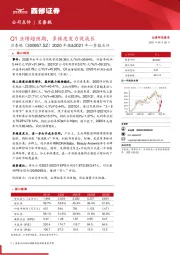 2020年报&2021年一季报点评：Q1业绩超预期，多维度发力促成长