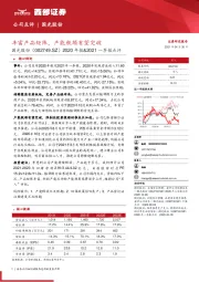 2020年报&2021一季报点评：丰富产品矩阵，产能瓶颈有望突破