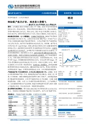 盛屯矿业2020年年报及1Q21季报点评:铜钴镍产能齐扩张,顺周期大势腾飞