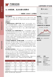 点评报告：Q1业绩亮眼，成本优势无惧降价