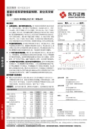 2020年年报&2021年一季报点评：玻璃价格有望继续超预期，新业务突破在即