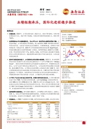 业绩短期承压,国际化进程稳步推进
