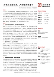 2020年年报点评:多项业务迎突破,产能释放保增长