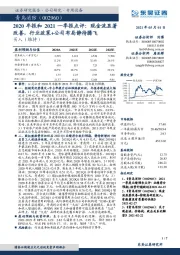 2020年报和2021一季报点评:现金流显著改善,行业政策+公司布局静待腾飞