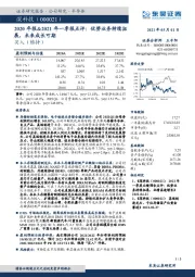 2020年报&2021年一季报点评：优势业务持续拓展，未来成长可期