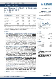 2020年报&2021年一季报点评：公司治理不断优化，持续释放增长潜力