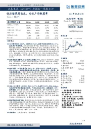 年报&一季报点评:低压整装再出发,光伏户用新篇章