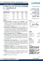 20年报&21Q1点评:海外电表业务超预期增长,电站运营效益凸显