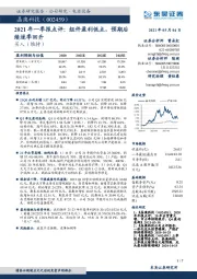 2021年一季报点评:组件盈利低点,预期后续逐季回升