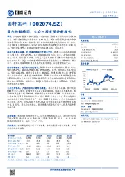 国内份额稳固，大众入股有望迎新增长