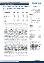 2020年报&2021一季报点评：Q1业绩良性增长，补贴调整龙头长期份额有望提升