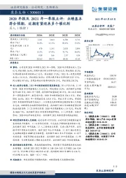 2020年报及2021年一季报点评:业绩基本符合预期,近期有望迎来多个催化剂