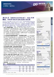 1Q21利润翻番,积极布局逐步显现完整业务版图