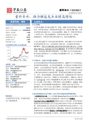 量价齐升，助力锂盐龙头业绩高增长