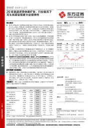 20年渠道逆势快速扩张，行业复苏下龙头有望呈现更大业绩弹性