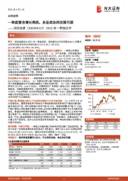 2021年一季报点评:一季度营收增长亮眼,多品类协同发展可期
