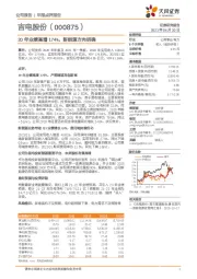 20年业绩高增174%，新能源方向明确