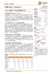 Q1收入创新高，多元化布局增长可期