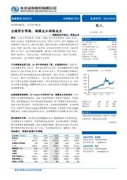 恩捷股份年报及一季报点评：业绩符合预期，隔膜龙头持续成长