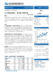 2021Q1点评：Q1业绩高速增长，盈利能力逐渐改善