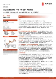 2020年年报及2021年一季报点评：21Q1业绩超预期，中国“英飞凌”再创新高